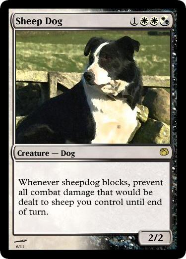 Sheep Dog